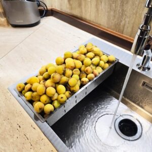 Scurgator-tip-tavita-adanca-INOX-104